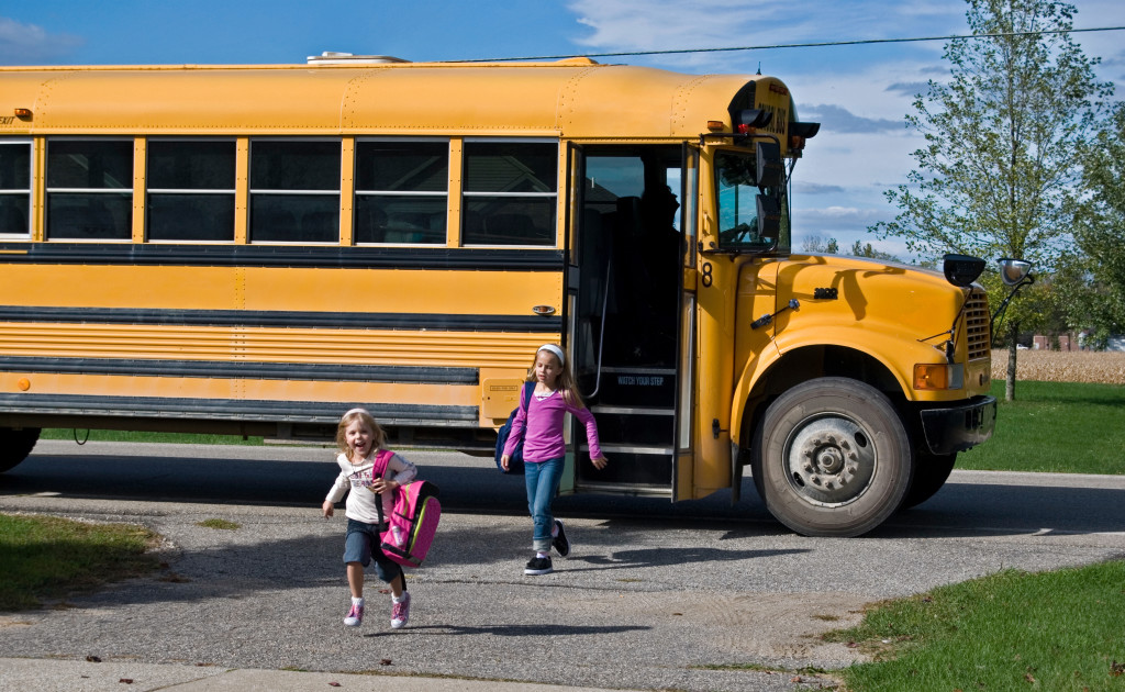 School Bus Charters - Getting them there and back